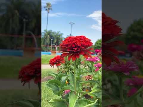 Termas del Dayman Salto Uruguay