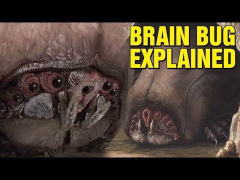 THE BRAIN BUG EXPLAINED - STARSHIP TROOPERS HISTORY EXPLORED Video