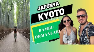 KYOTO GEZİ REHBERİ | KYOTO GEZİLECEK YERLER | GİON | ARASHİYAMA BAMBU ORMANLARI 