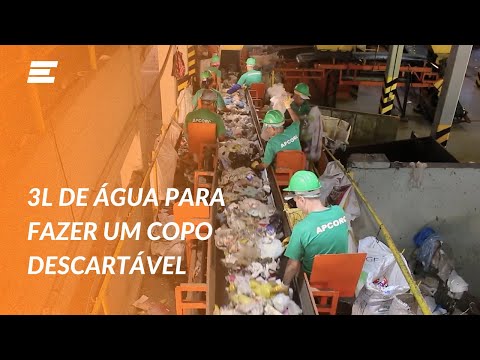 ECONOMIA CIRCULAR | REPÓRTER EMPREENDER