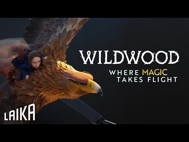 Where Magic Takes Flight