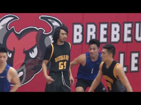 Bumble Bees vs Royal River | Sunday tier 7 - tcbl 2020 winter