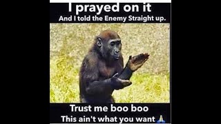 YOLANDA DISCO  BALL LOUNGE CHILLING RELAXING VIBING  👀