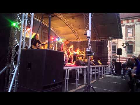 Aleš Brichta - Nechte vlajky vlát (Live, Vinobraní Roudnice nad Labem 2014)