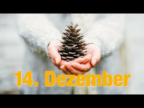 Advent reflection for December 14, 2025
