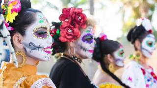 Dave Matthews &amp; Tim Reynolds Riviera Maya 2017 Slide Show