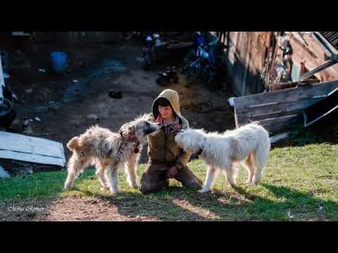 Taxiul cu Bomboane - Copiii din Holbav - 8 Mai 2020