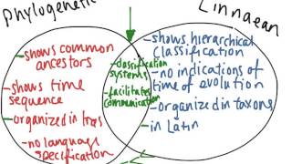 Phylogenetic & Linnaean Classification  (worked example)