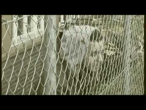 Nasou - Wer ich bin (offical videoclip)