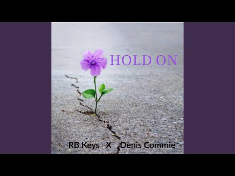 Hold on (feat. Denis Commie) (Theemotion Remix)