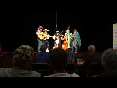 Evelyn Horner 2018 National Fiddlers Creative Competition Winner
