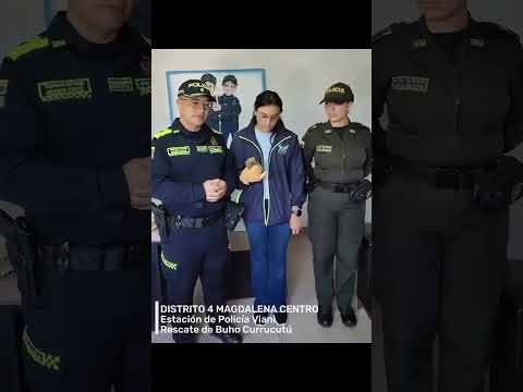 🇨🇴 D4 MAGDALENA CENTRO – RECUPERACIÓN DE FAUNA SILVESTRE 🦉