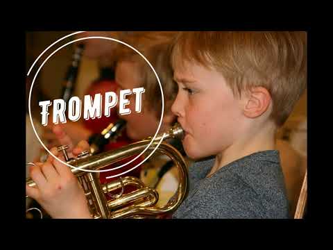 Vestby Kulturskole - gratis introduksjonskurs blåseinstrumenter