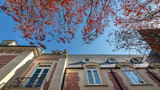 Beyond a Narrow Path: The Ogden Honors College
