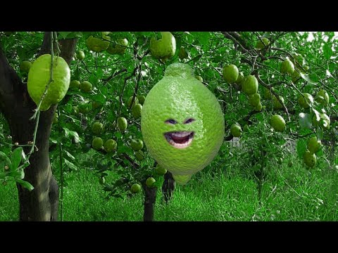 🏆TORNEO JAMIR🏆🌍INTERCONTINENTAL🌍🔴LIVE🔴 | SAINT SEIYA AWAKENING KOTZ