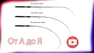 Как выбрать удилище и катушку для ловли карпа