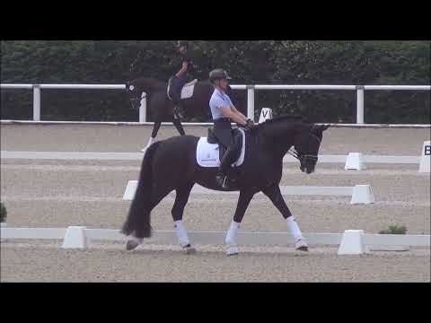 Danciero & Eva Möller - 1. WM-Sichtung 2021 - Freies Training