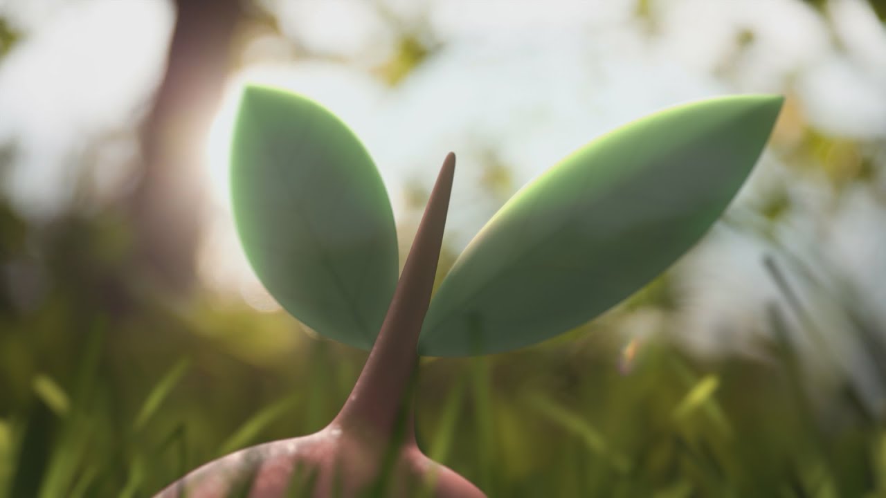 Miniature vidéo