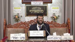 הרב מנחם גיאת | הלכות | מוסאיוף (בית הכנסת מוסאיוף) - התמונה מוצגת ישירות מתוך אתר האינטרנט יוטיוב. זכויות היוצרים בתמונה שייכות ליוצרה. קישור קרדיט למקור התוכן נמצא בתוך דף הסרטון