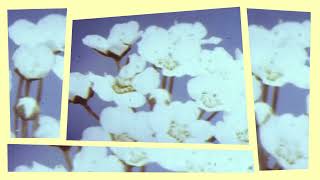 Slim's Return - Madlib