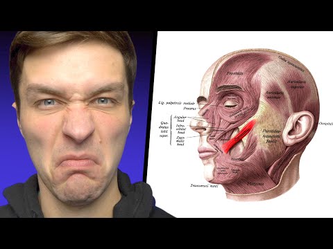 The Hidden Benefits of Bass Face (how to get good at music)