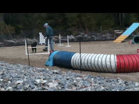 Foog fourth run 4 23 2023