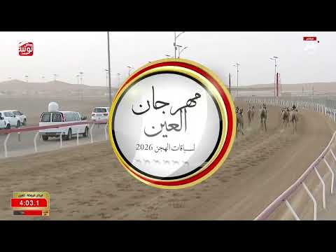 ش 5 (شاهين) لـ علي حمد بن سيف الاصلي الشامسي 6:35:79 ، مهرجان العين 2026/08/09 زمول الروضة