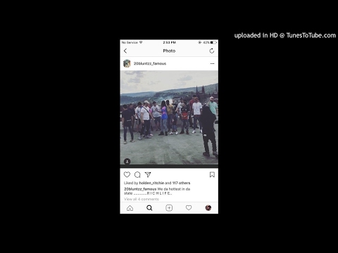 20 BLUNTZZ Walkin Money Counter