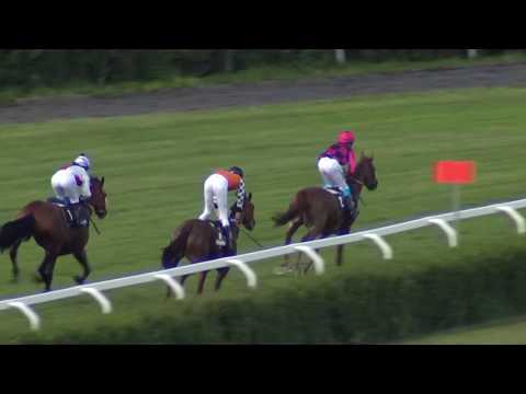 7. dostih - MEMORIÁL MILOSLAVA NOVÉHO - dostihy Velká Chuchle 1. 6. 2019