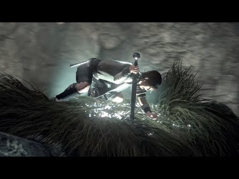 Shadow of the Colossus remake ps4 gameplay HD 2017