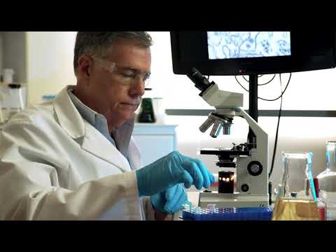 Was sind die Symptome von Methicillin resistentem Staphylococcus aureus?