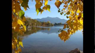 Rosie Thomas  -  Where was I