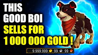 Make TONS of GOLD w/ Pet Charms! WoW Dragonflight Goldmaking