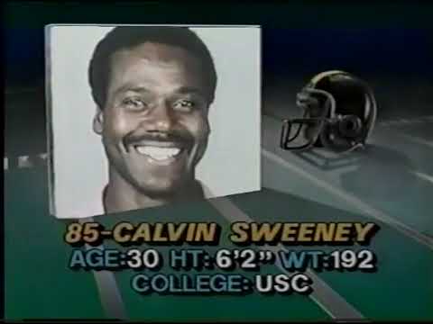 1986 Week 6 Pittsburgh Steelers at Cincinnati Bengals