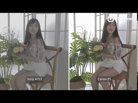 Sony A7S III vs Canon EOS R5 - Log Test
