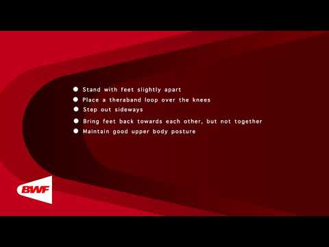 CE2M8V67 Theraband Exercises - Abductors (Sideway Walks)