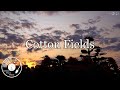 Cotton Fields w/ Lyrics - Creedence Clearwater Revival Version - Infinite Peace Music Cotton Fields w/ Lyrics - Creedence Clearwater Revival Version