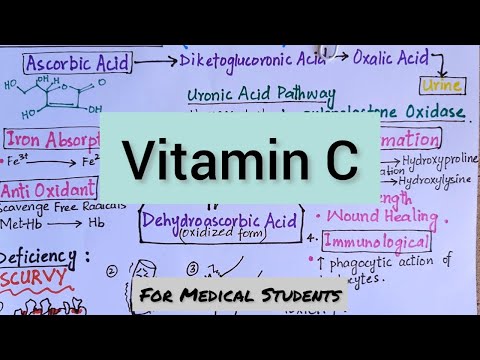 Vitamin C | Introduction Functions Deficiency & Toxicity