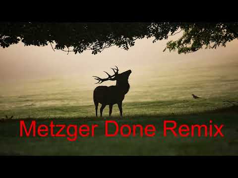Da fress i an Hirsch Remix vom METZGER DONE