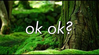 ok ok? - half•alive (lyric video)