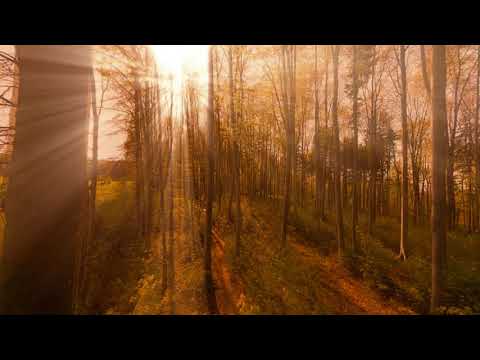 Axell Astrid - Progressive Equilibrium [Mystic Sunbeam] ᴴᴰ