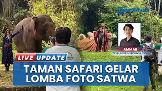 Taman Safari Indonesia Bogor Gelar Lomba Foto Satwa, Hadiahnya Bikin Ngiler!
