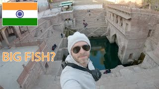 🇮🇳 | India Never Disappoints! Rajasthan, Jodhpur!
