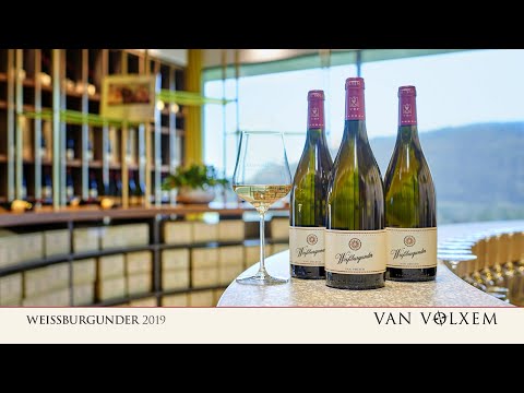 Van Volxem Weißburgunder 2019 - "Weißburgunder statt Weißbier" 😉