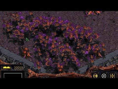SPEEDRUN - Starcraft : Brood War - Z10 "Omega" in 13:23.433 RTA (13:22 IGT)