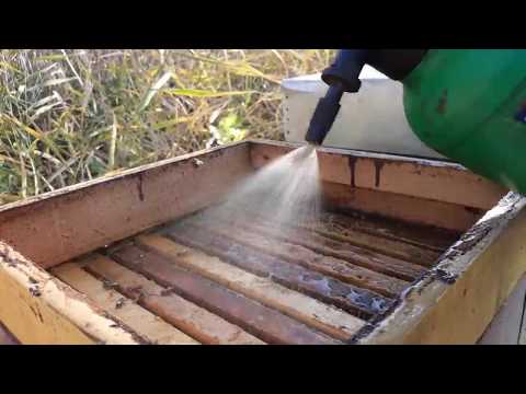 Završno prskanje "kupanje" pčela EM probiotikom