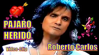 ROBERTO CARLOS - PAJARO HERIDO &#39;&#39;Vídeo-Clip en Español&#39;&#39; - 4k