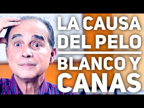 , title : 'Episodio #1862 La Causa Del Pelo Blanco Y Canas'