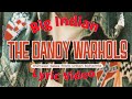 The Dandy Warhols - Big Indian - Lyric Video [Fan made]