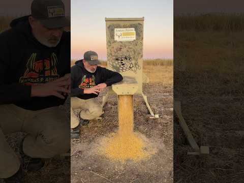 Silent timed automatic deer feeder #deerfeeder #feedwhatyouwant #ricebran #hunting